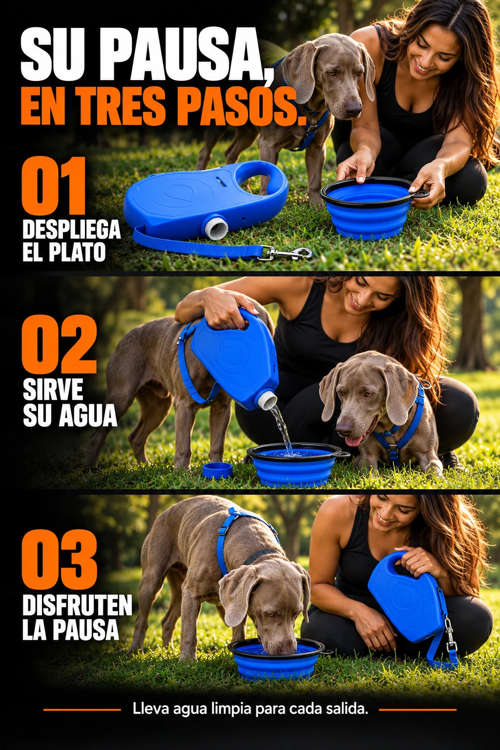1. Despliega el plato. 2. Sirve su agua. 3. Disfruten la pausa. Lleva agua limpia para cada salida.