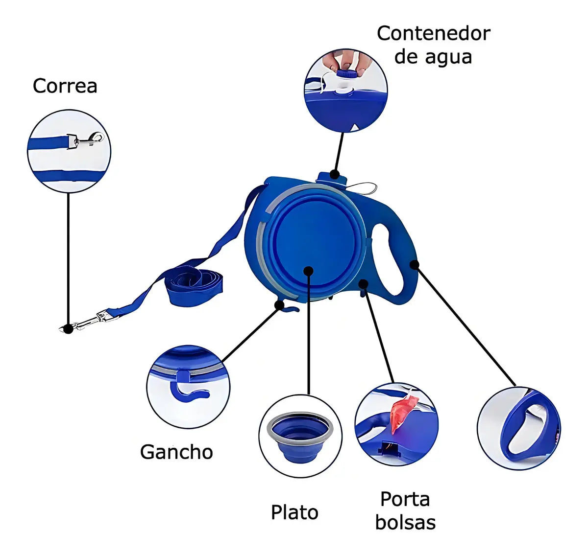 Correa 5 en 1 con Cantimplora para Perro
