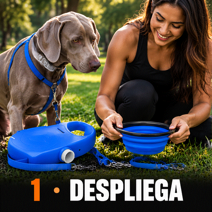 Secuencia ilustrativa: desplegar el plato, servir agua y ofrecerla al perro.