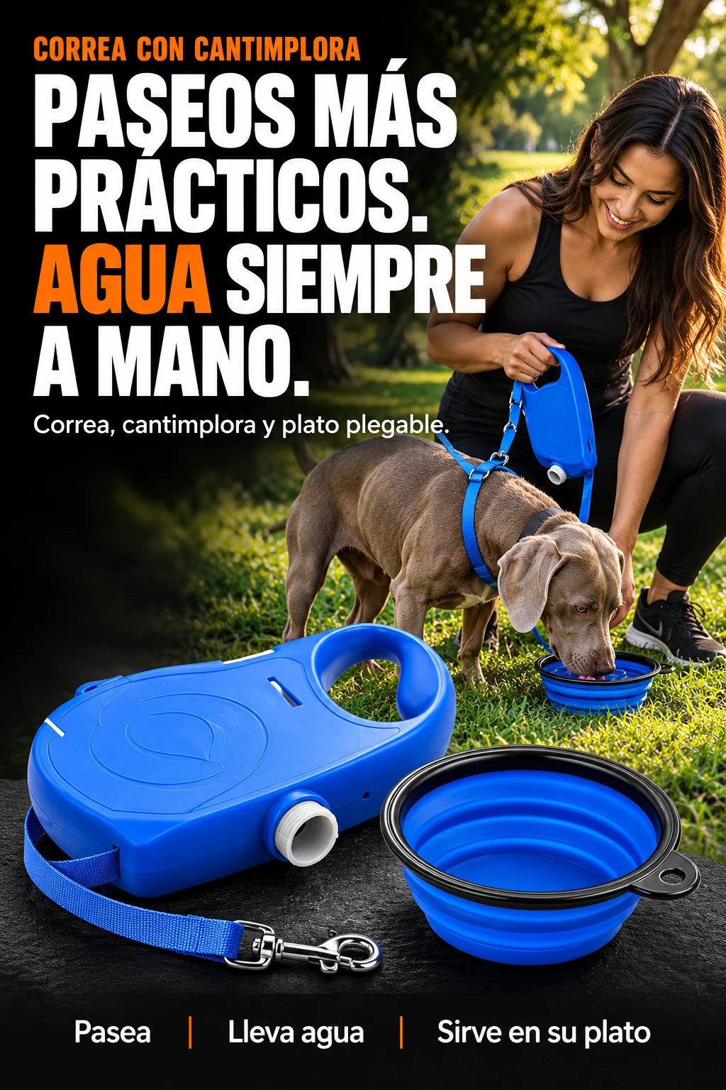 Correa azul con cantimplora y plato plegable. Una persona ofrece agua a su perro durante el paseo.